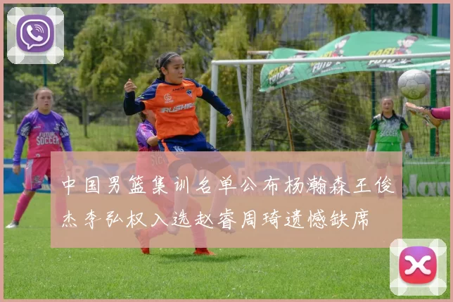 中国男篮集训名单公布杨瀚森王俊杰李弘权入选赵睿周琦遗憾缺席